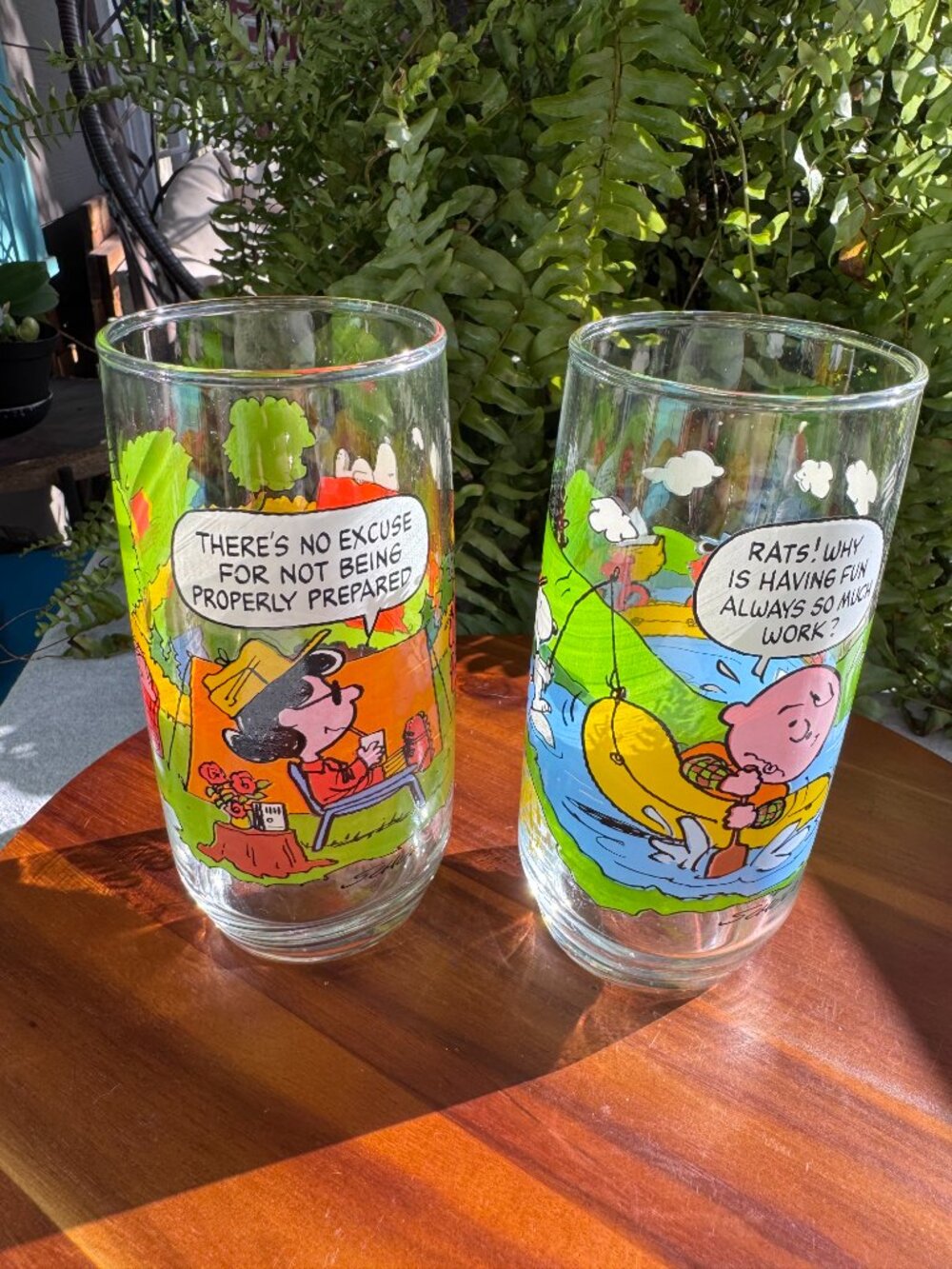 1983 McDonald’s Camp Snoopy Glasses – Snoopy Camping and River Scene